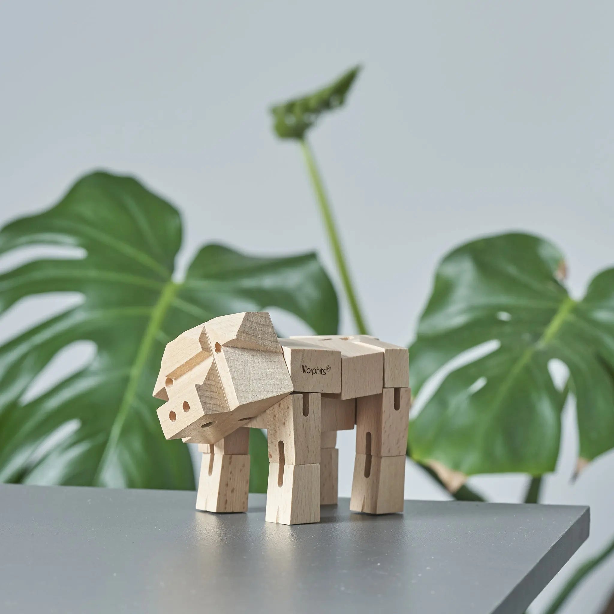 Morphits Pig Wooden Puzzle Toy - Oink into Fun - Yoshiaki Ito Design